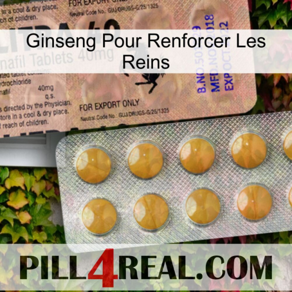 Ginseng For Reinforcing Kidney 41